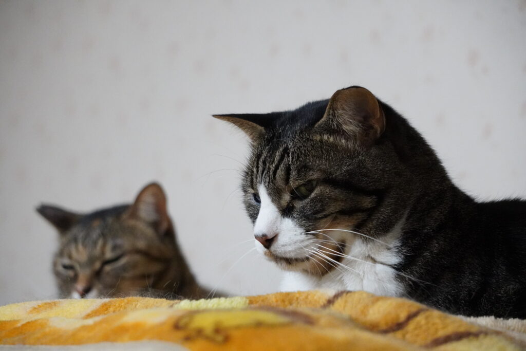 じーっ